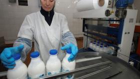 Перебоев поставок молочной продукции не будет - Минсельхоз
